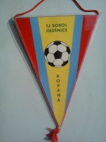 /album/olesnice-ceske-budejovice/olesnice-tj-sokol-26-ceske-budejovice-jpg/